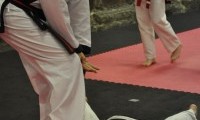 IMG_8
